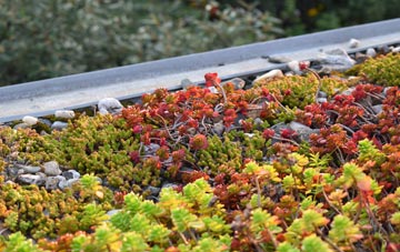 the cost of Roberttown green roof installation