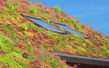 Roberttown living roof systems
